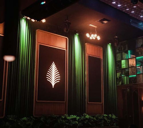 Café de Palma 打造沉浸式熱帶飲品品牌形象與網(wǎng)頁設(shè)計(jì)