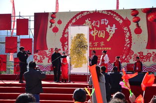 中國夢·文化進萬家——中國民協(xié)陜西文藝服務(wù)與交流活動紀實